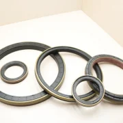 skeleton oil seal