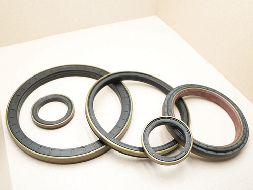 What are the application scopes of the skeleton oil seal?