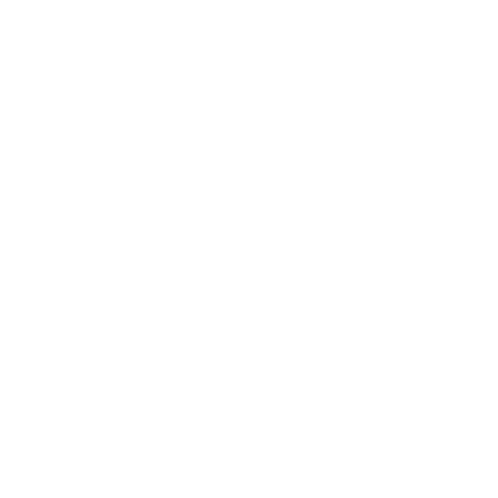 RYO_logo_white